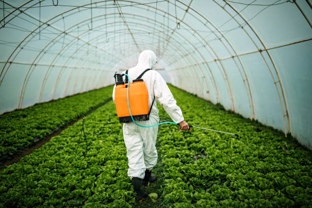 Professional Pest Control in Roanoke, IN