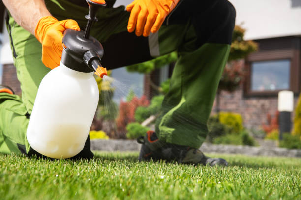 Pest Prevention Services in Roanoke, IN