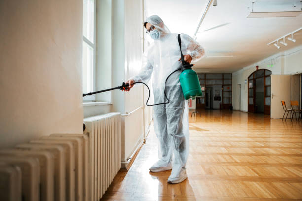 Best Flea Control Services  in Roanoke, IN
