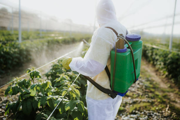 Best Emergency Pest Control  in Roanoke, IN